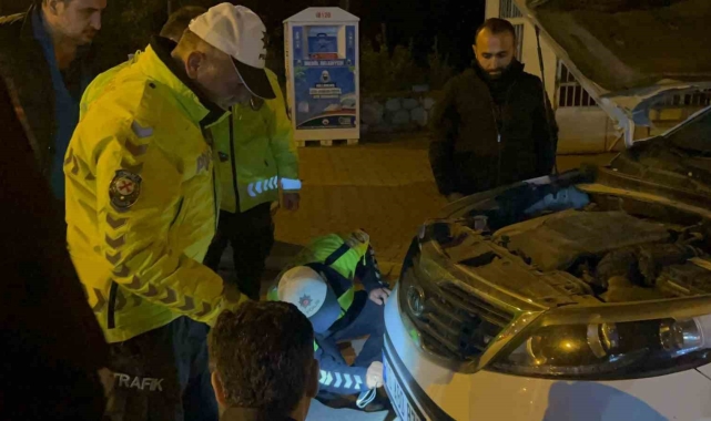 Polisin dikkati kediyi ölümden kurtardı