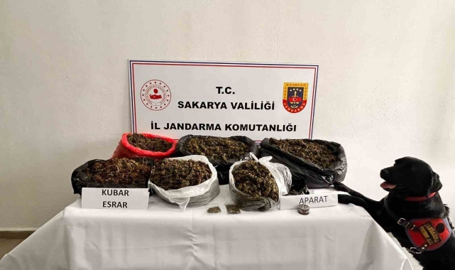 Sakarya Jandarmanın uyuşturucu ile mücadele raporu: 380 tutuklama