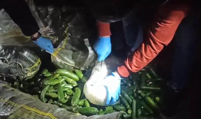 Salatalık çuvallarından uyuşturucu çıktı