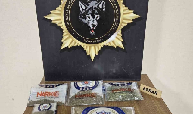 Samsun'da uyuşturucu uygulaması: 29 kişi yakalandı