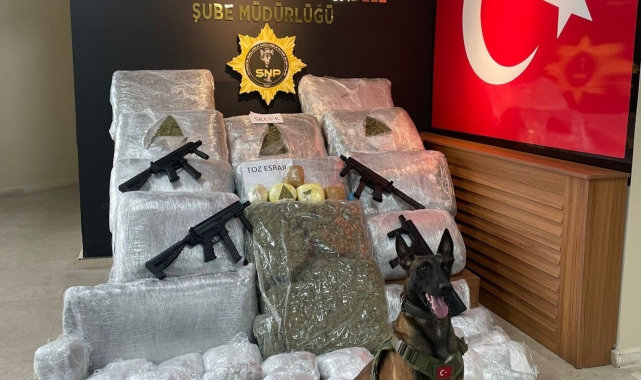 Şanlıurfa'da 170 kilo 700 gram skunk ele geçirildi