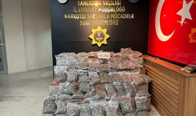 Şanlıurfa'da 46 kilo 500 gram skunk ele geçirildi