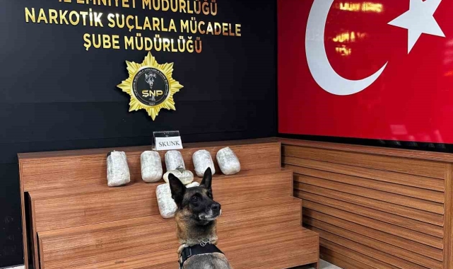 Şanlıurfa'da 9 kilo skunk ele geçirildi