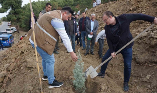 Sarıgöl'de fidanlar yanan ormanlık alana dikildi