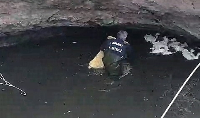 Sarnıca düşen kazlar, itfaiye tarafından kurtarıldı