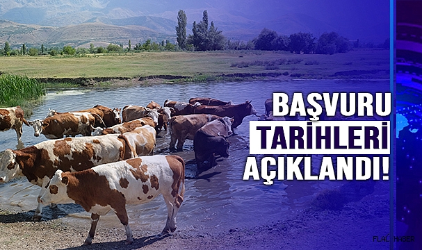 ŞARTLAR BELLİ OLDU!