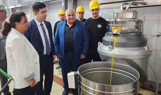 Sezonun ilk zeytinleri işlenmeye başlandı