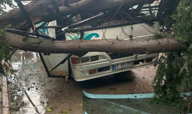 Şiddetli rüzgarda üzerine ağaç devrilen midibüs hurdaya döndü