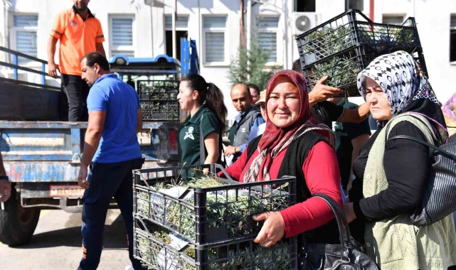Silifkeli üreticilere lavanta fidesi dağıtıldı