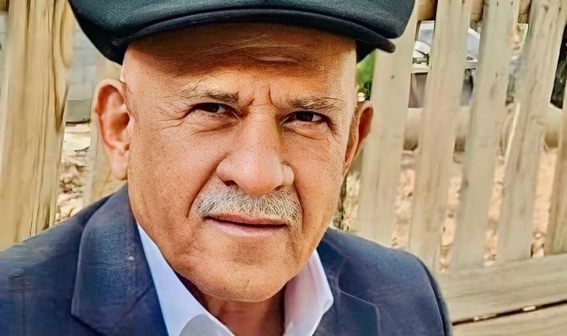 Silopi'de budamak için çıktığı ağaçtan düşen adam hayatını kaybetti