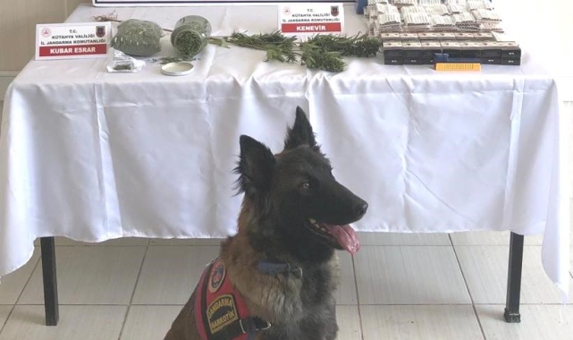 Simav'da jandarmanın uyuşturucu ve kaçak sigara operasyonu