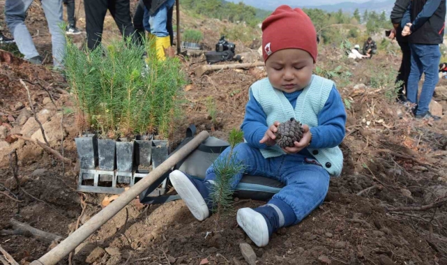Sındırgı'da 2023 fidan toprakla buluştu
