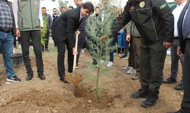 Şırnak'ta 250 bin fidan toprakla buluşacak