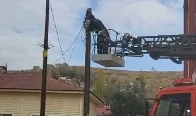 Sivas'ta İtfaiye ekipleri, yaramaz kedi için seferber oldu