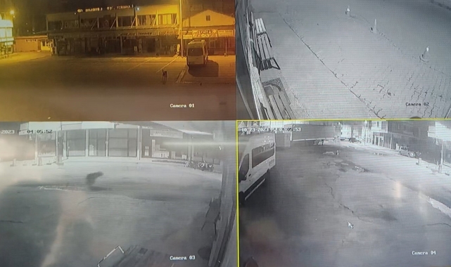 Sokakları süpüren temizlik işçisinin karşısına ayı çıktı