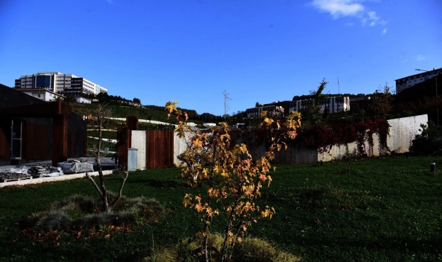 Sonbahar renkleri