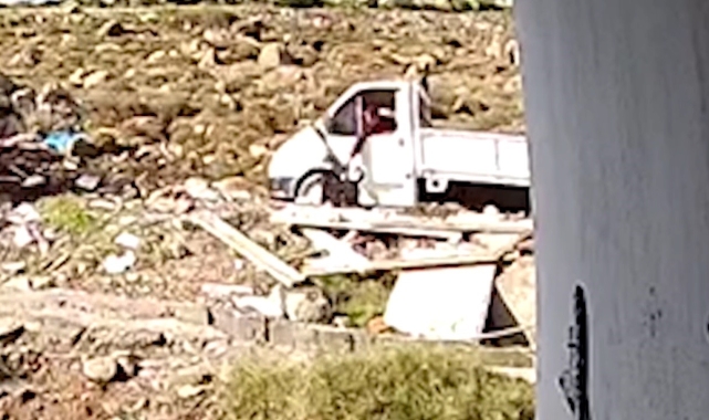 Sürücünün köpeğe cisimle vurduğu anlar kameraya yansıdı