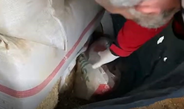 Tarihi eser ve uyuşturucu maddeyle yakalanan şüpheli tutuklandı