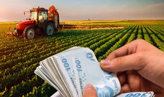 Tarımsal Destekleme Ödemesi Çiftçilerin Hesabına Aktarıldı