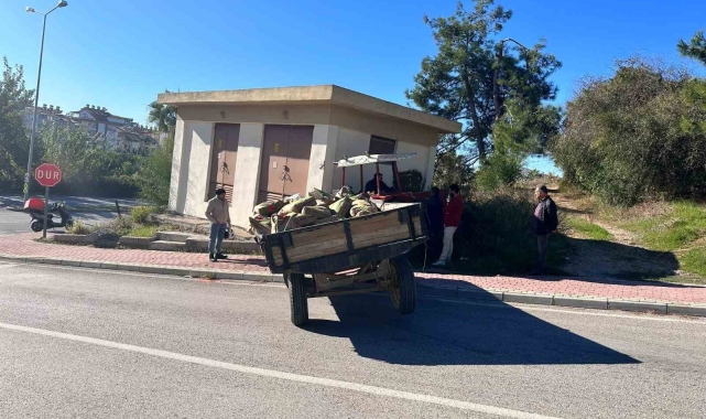 Trafoya çarpan traktörün sürücüsü yaralandı