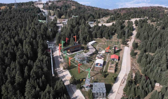 Uludağ'da aç kalan ayılar dükkanları talan etti