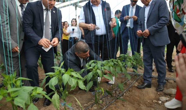 Üreticilerin korkulu rüyasına karşı biyolojik mücadele başladı