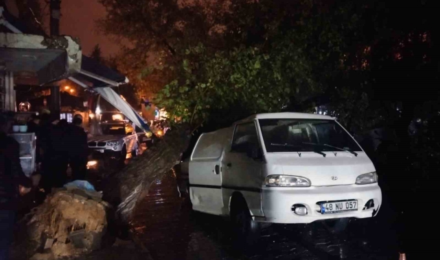 Üzerine ağaç düşen aracın sürücüsü yara almadan kurtuldu