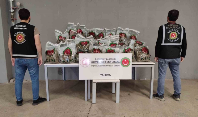 Yalova Ro-Ro Limanı'nda yurda sokulmak istenen 80 kilo uyuşturucu yakalandı
