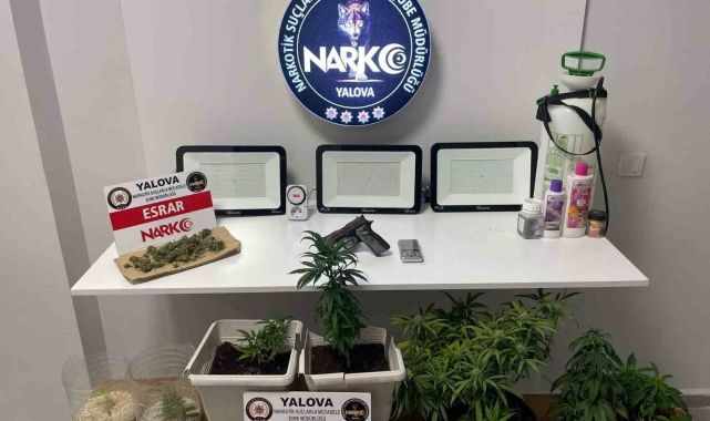 Yalova'daki uyuşturucu operasyonlarında 2 gözaltı