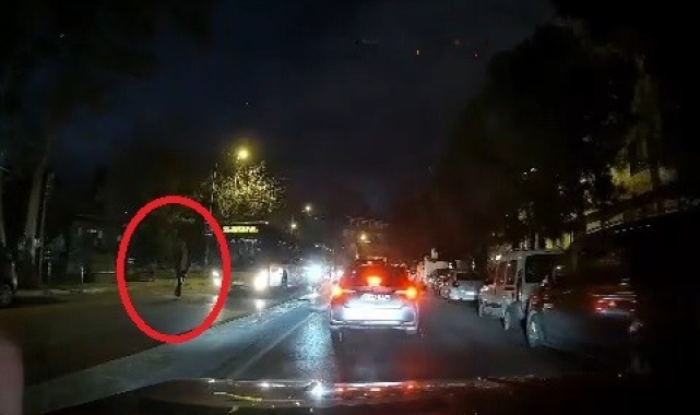Yolun karşısına geçmek isteyen yayaya motosiklet çarptı