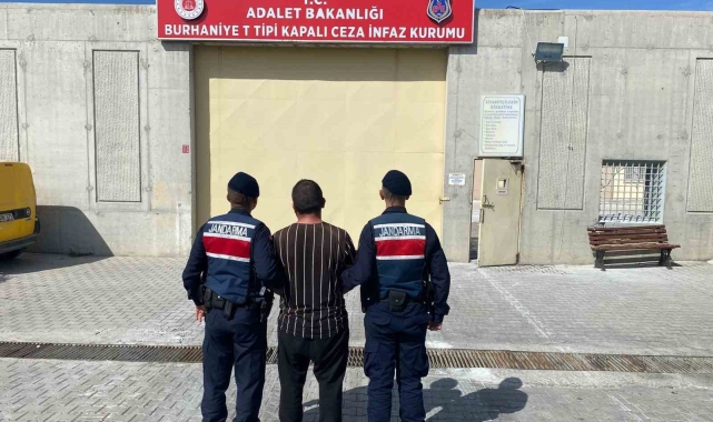 Zeytin çalarken jandarmaya yakalanan hırsız tutuklandı