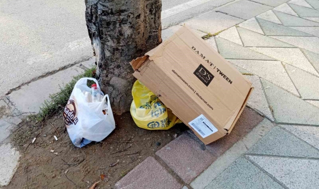 Ağaç dipleri çöplük oldu