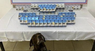 Ağrı'da gümrük kaçağı sigara yakalandı