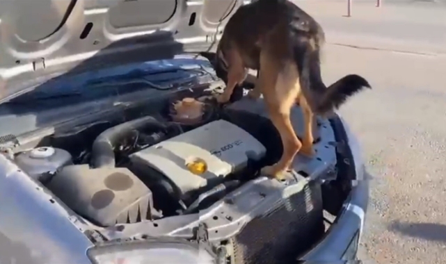Aracın motorunda uyuşturucu çıktı