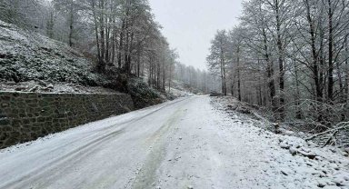 Artvin'de kar yağışı nedeniyle 13 köy yolu ulaşıma kapandı