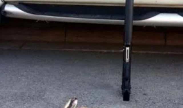 Avlanmaya kapatılan alanda iki kaçak avcı yakalandı