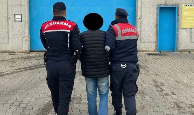 Aydın jandarmasında eş zamanlı operasyon: 35 kişi yakalandı