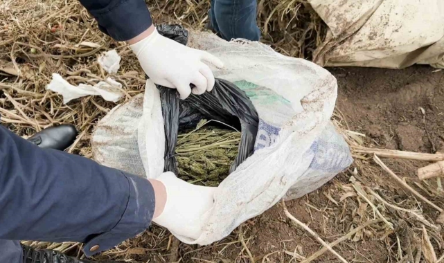 Bahçeye gömdüğü uyuşturucu ile yakalanan şahıs tutuklandı