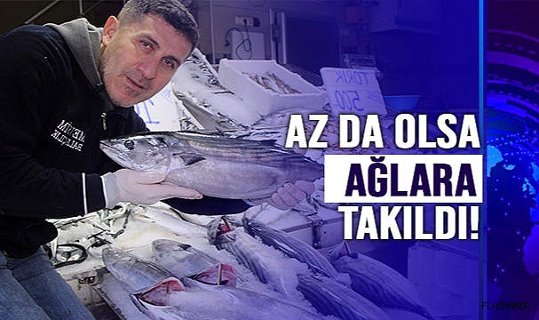 BAKIN TANESİ KAÇ LİRA?