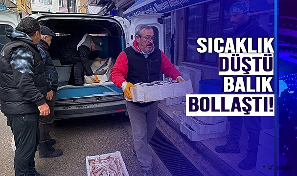 HAMSİNİN KULAĞINA KAR SUYU KAÇTI!