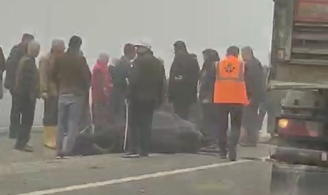 Batman'da sis kazaya davetiye çıkardı: İki inek telef oldu