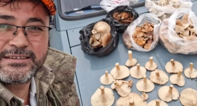Bayramiç'te kanlıca mantarı köylünün gelir kapısı oldu