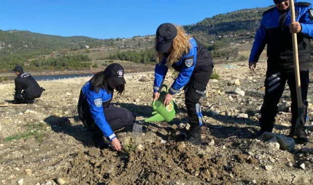 Bin fıstıkçamı ve harnup fidanı toprakla buluştu