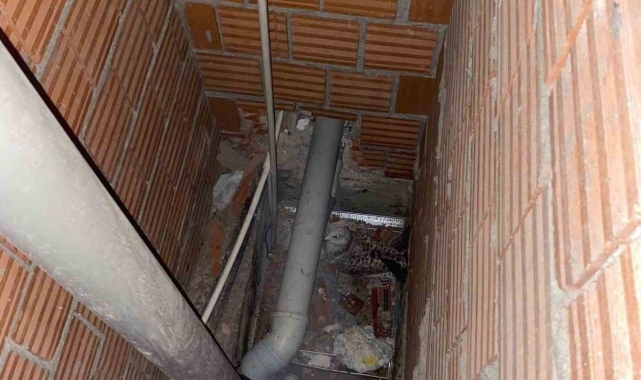 Bina boşluğunda mahsur kalan martıyı itfaiyeciler kurtardı