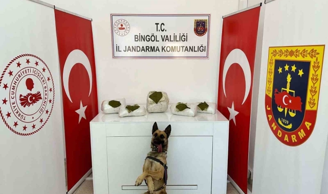 Bingöl'de toprağa gömülü 13 kilo uyuşturucu ele geçirildi