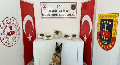 Bingöl'de toprağa gömülü 13 kilo uyuşturucu ele geçirildi