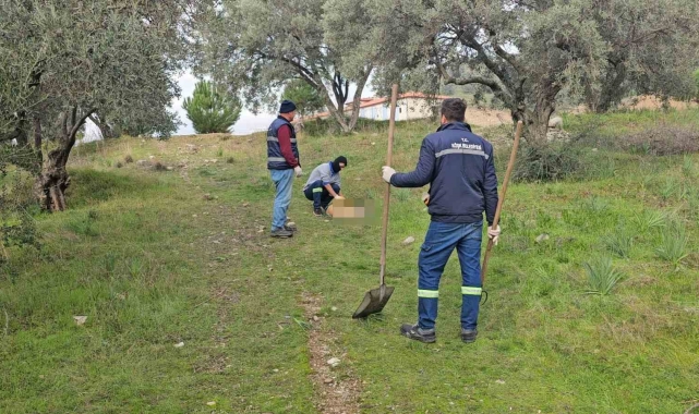 Böyle vahşet görülmedi, onlarca köpek telef olmuş vaziyette bulundu