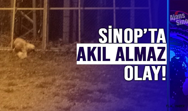 BOZUK FİNCAN CAN ALDI!