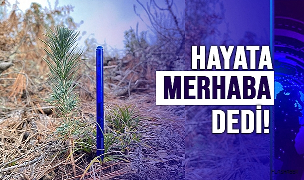 ÇABALAR SONUÇ VERDİ!