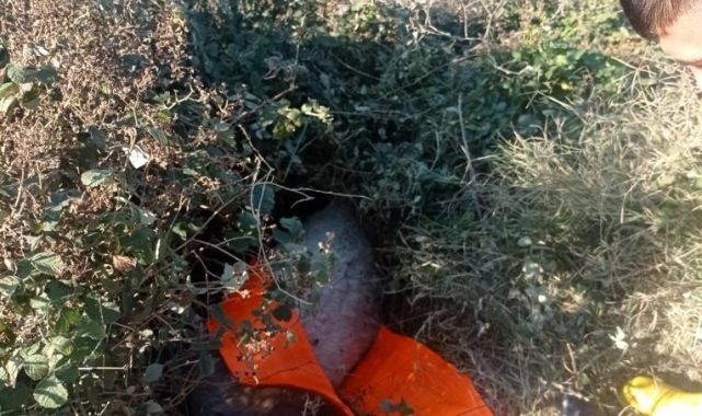 Çukura düşen eşeği, itfaiye ekipleri kurtardı